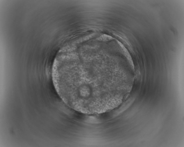 X0000113160285200910021507