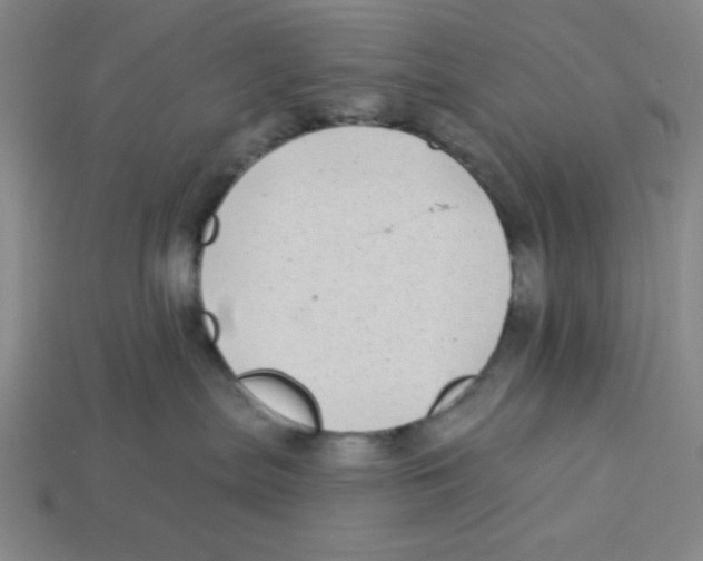 X0000113160287200910021508