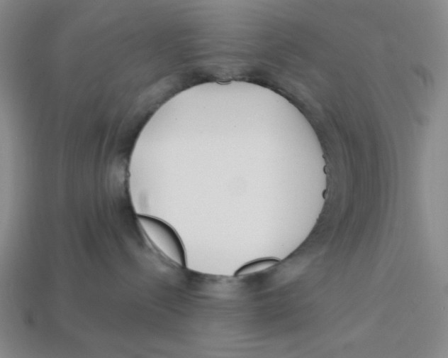 X0000113160288200910021508