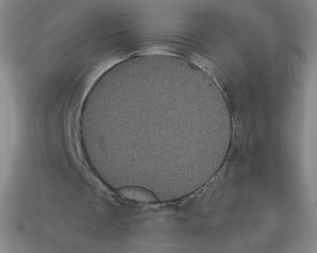 X0000113160289200910021507