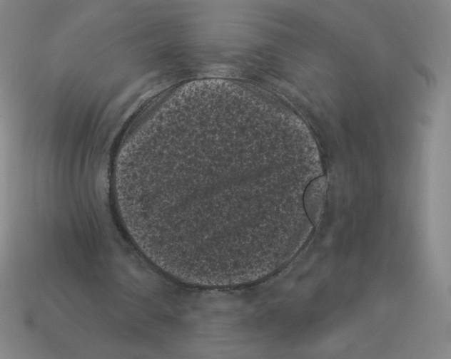 X0000113160290200910021507