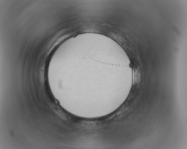 X0000113160291200910021507