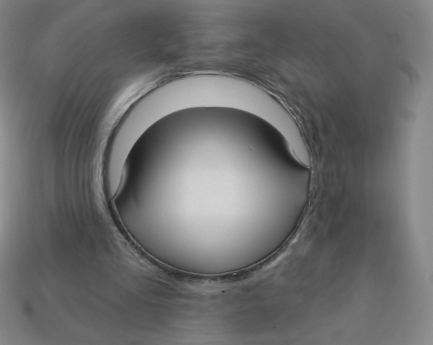 X0000113160293200910021507