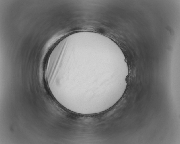 X0000113160294200910021507