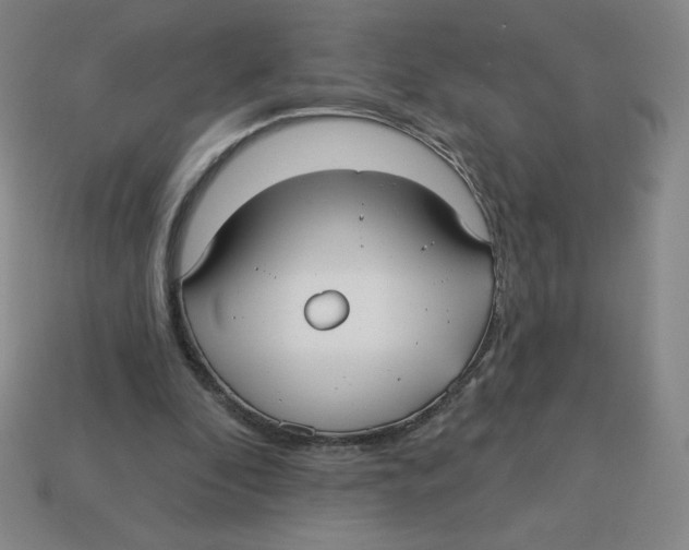 X0000113160296200910021507