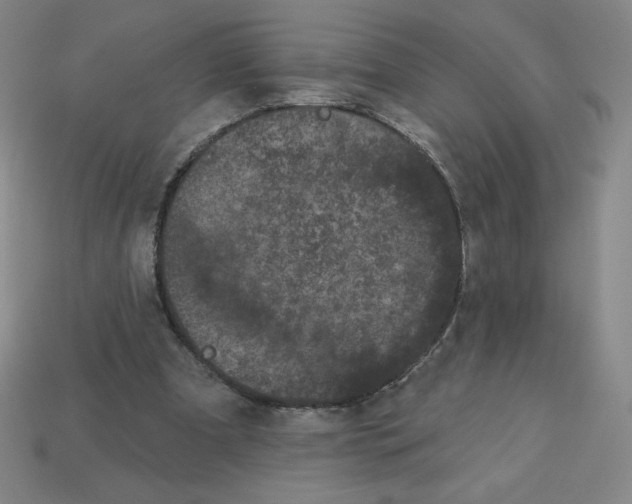 X0000113160297200910021507