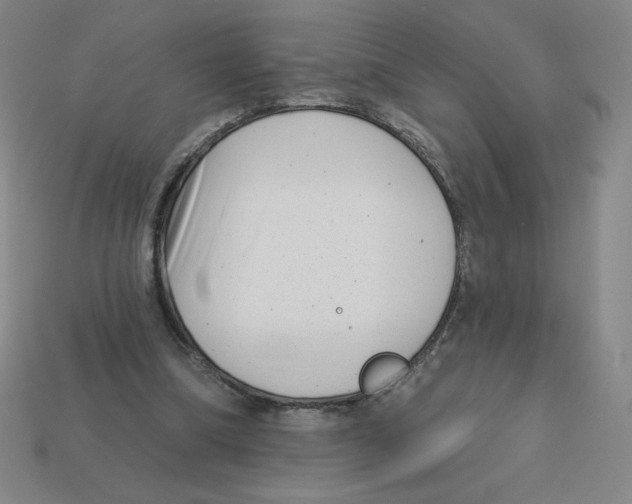 X0000113160298200910021507