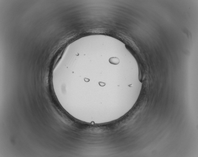 X0000113160299200910021507