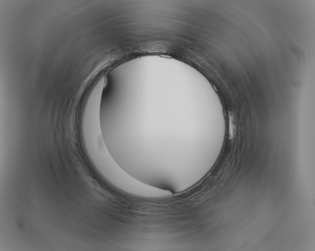 X0000113160300200910021507