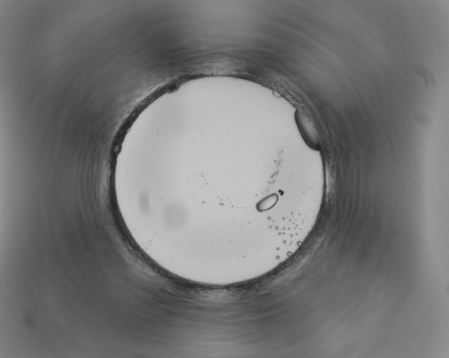 X0000113160301200910021507