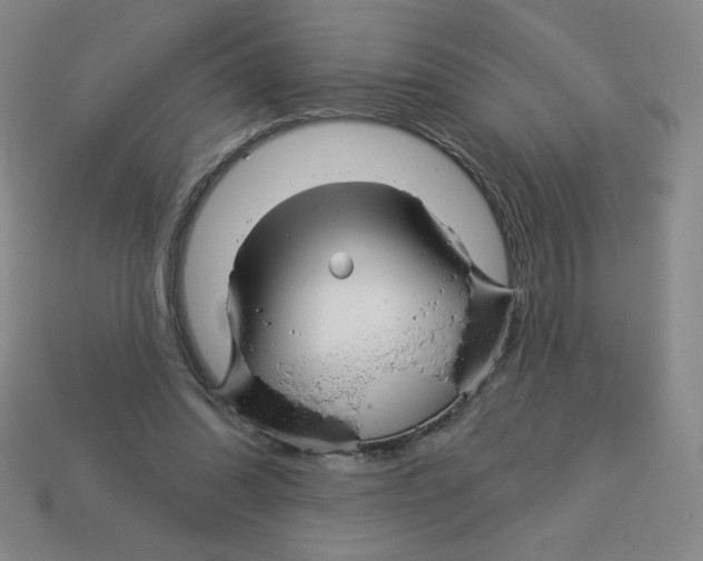 X0000113160302200910021507