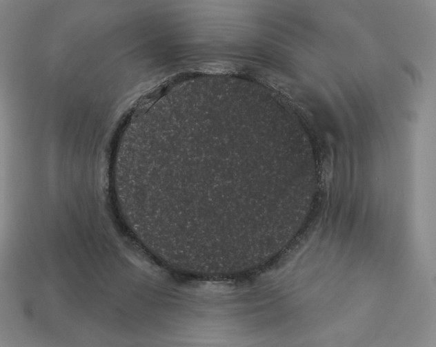 X0000113160303200910021507