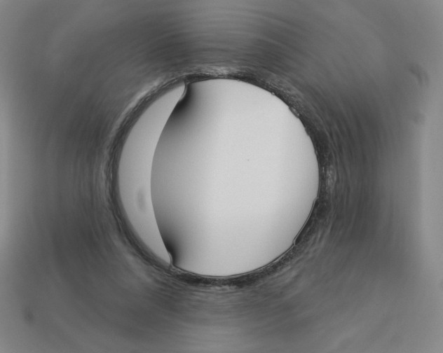 X0000113160304200910021507