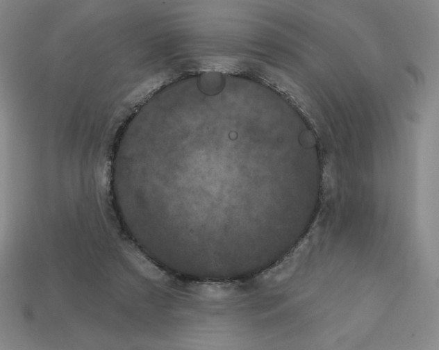 X0000113160305200910021507