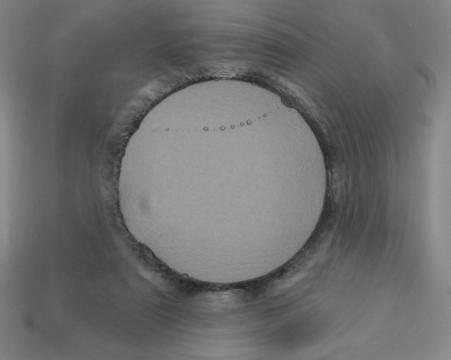 X0000113160307200910021507