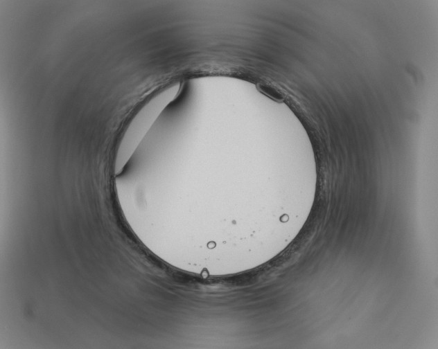 X0000113160309200910021507