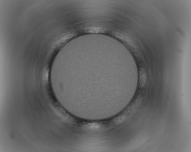 X0000113160310200910021507