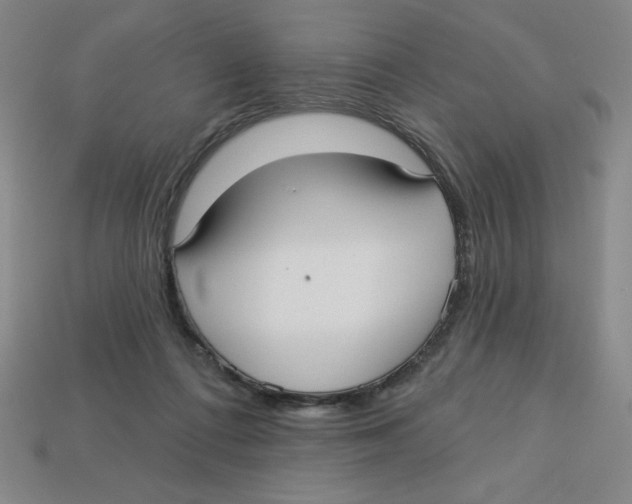 X0000113160312200910021507