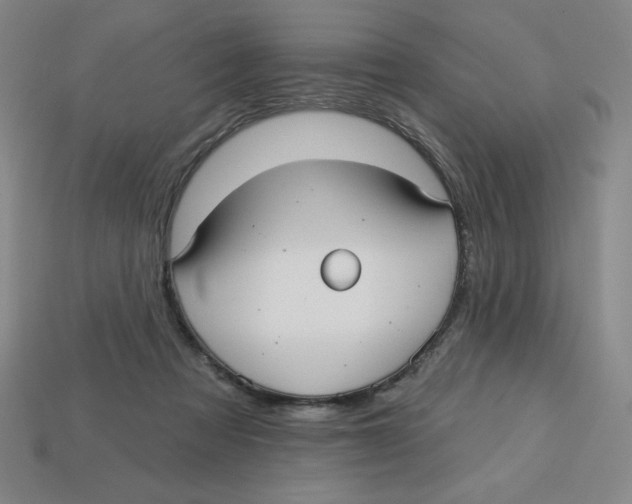 X0000113160313200910021507