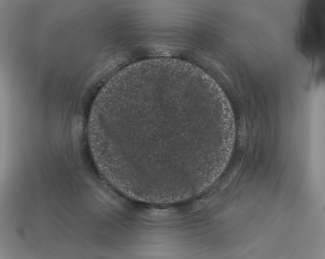 X0000113160314200910021507