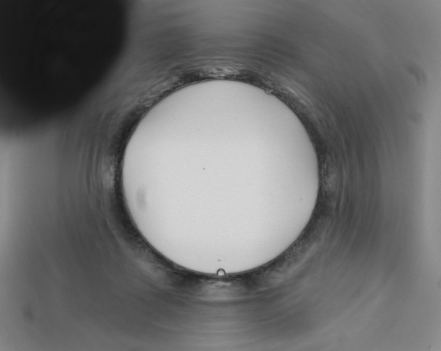 X0000113160315200910021507