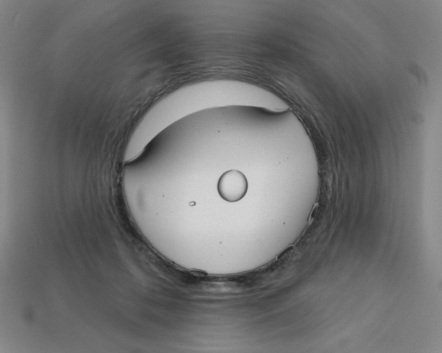 X0000113160316200910021507