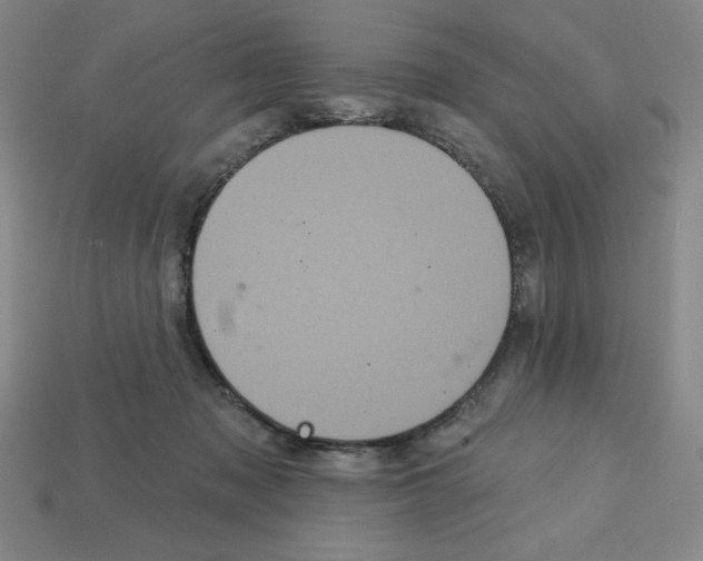 X0000113160317200910021507