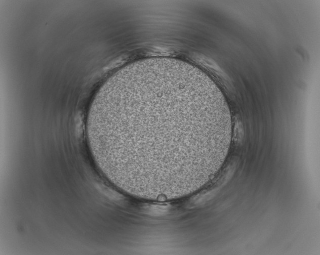 X0000113160318200910021507