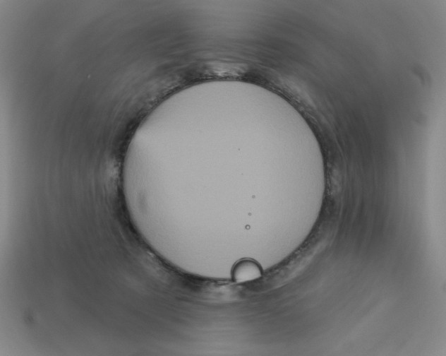 X0000113160321200910021506