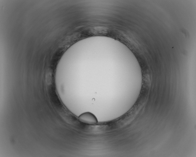 X0000113160323200910021506