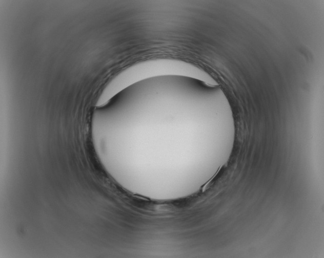 X0000113160324200910021506