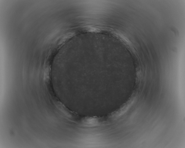 X0000113160325200910021506