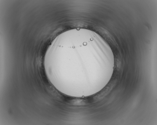 X0000113160326200910021506