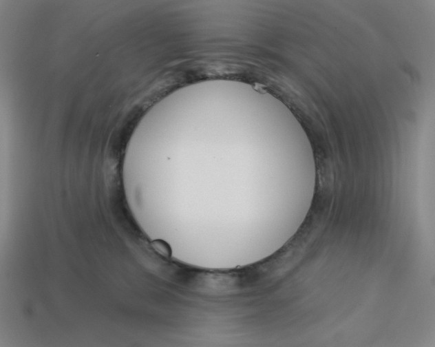 X0000113160327200910021506