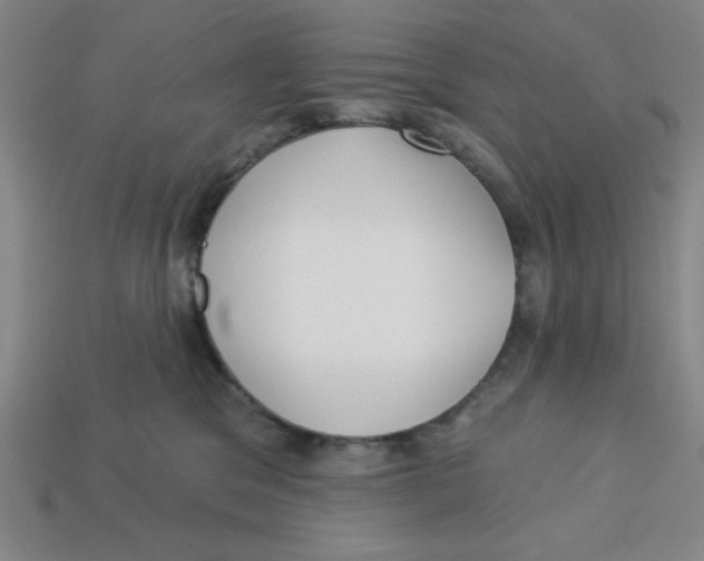 X0000113160329200910021506