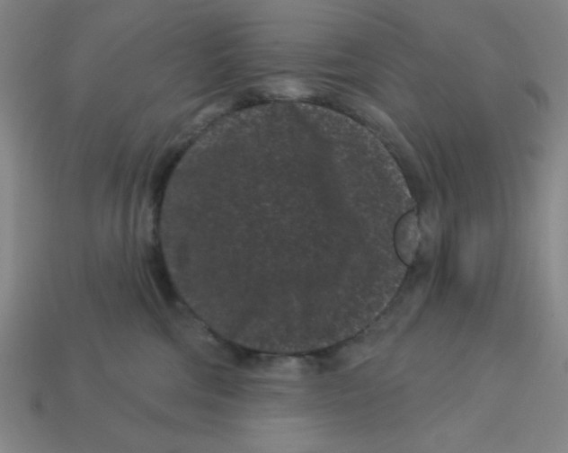 X0000113160330200910021506