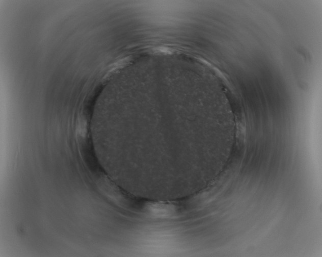 X0000113160331200910021506