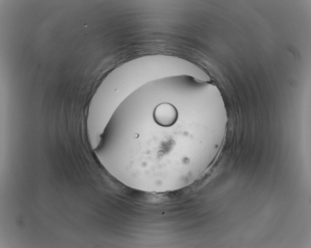 X0000113160333200910021506