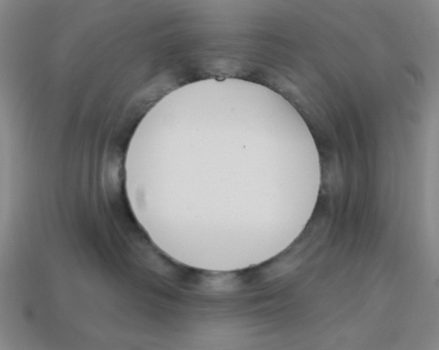 X0000113160334200910021506