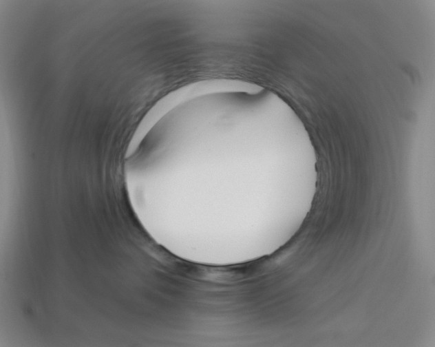 X0000113160336200910021506