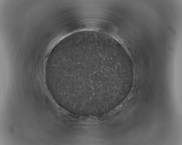 X0000113160337200910021506