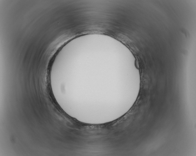 X0000113160338200910021506