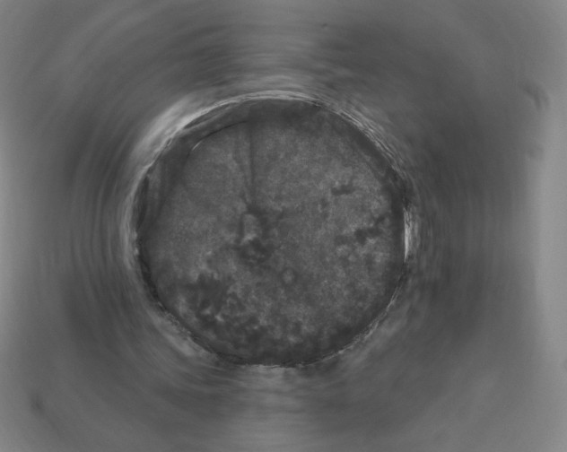 X0000113160339200910021506