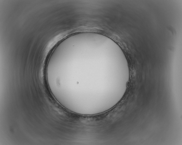 X0000113160340200910021506