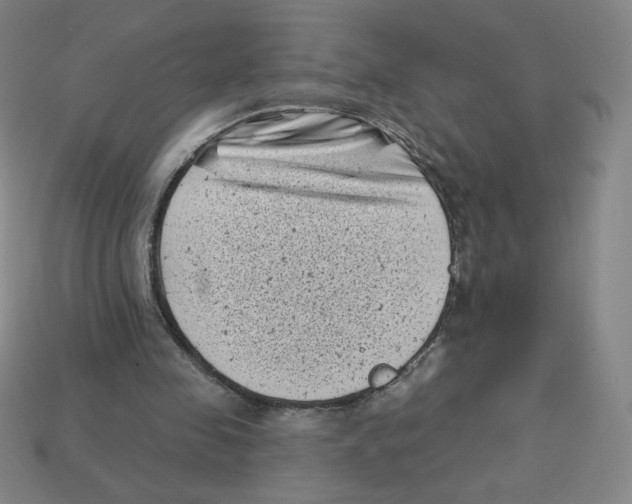 X0000113160341200910021506