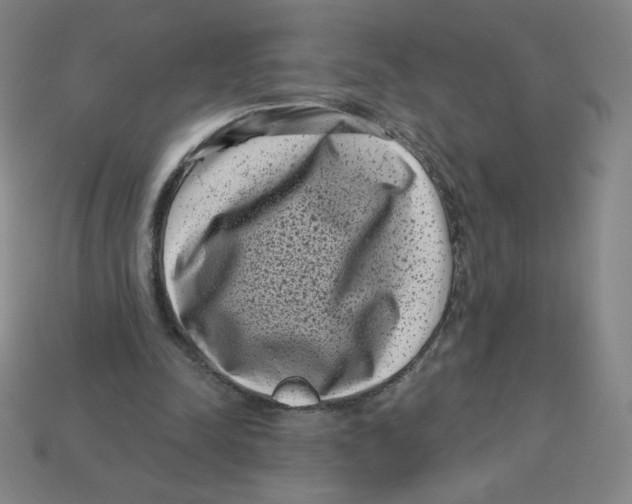 X0000113160342200910021506