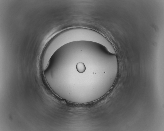 X0000113160344200910021506