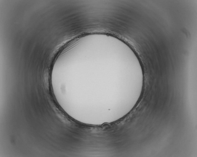 X0000113160345200910021506