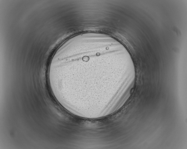 X0000113160346200910021506