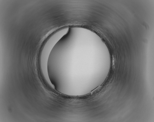 X0000113160348200910021506